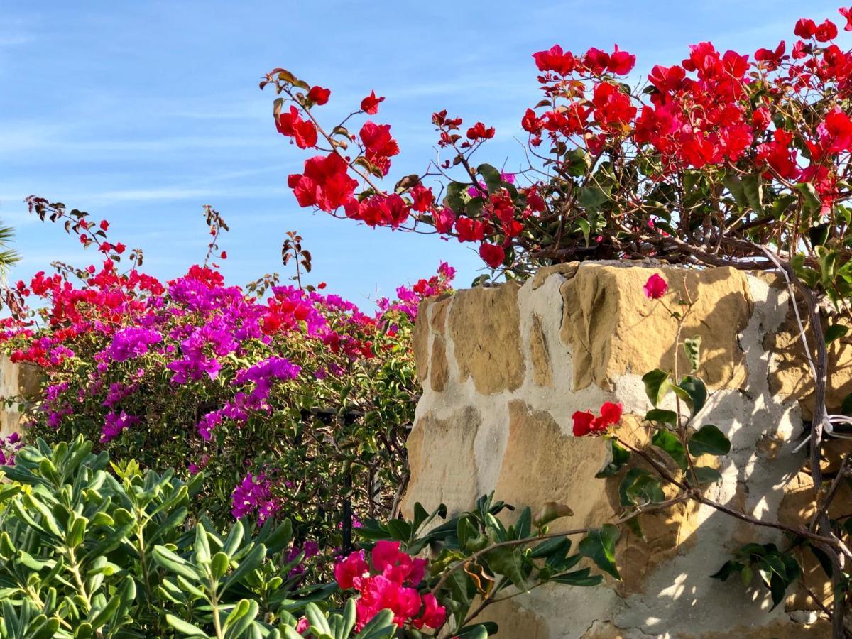 Bahia de CasaresCasa Olinaアパートメント エクステリア 写真