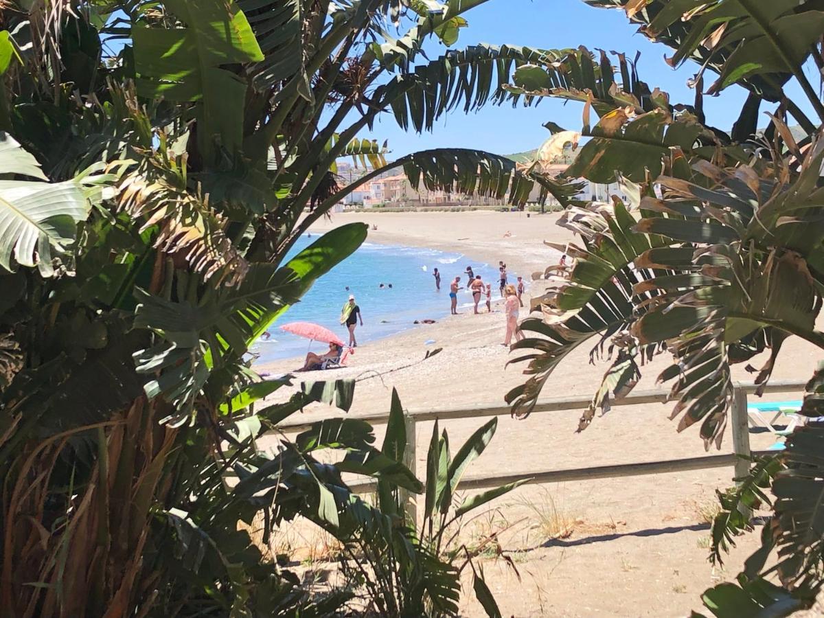 Bahia de CasaresCasa Olinaアパートメント エクステリア 写真