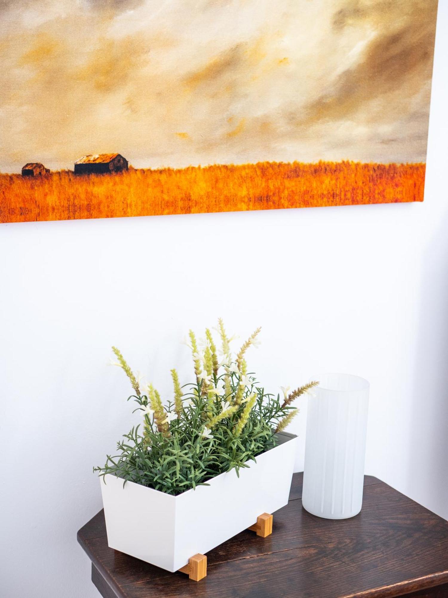 Bahia de CasaresCasa Olinaアパートメント 部屋 写真